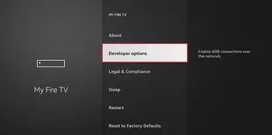 Options du développeur